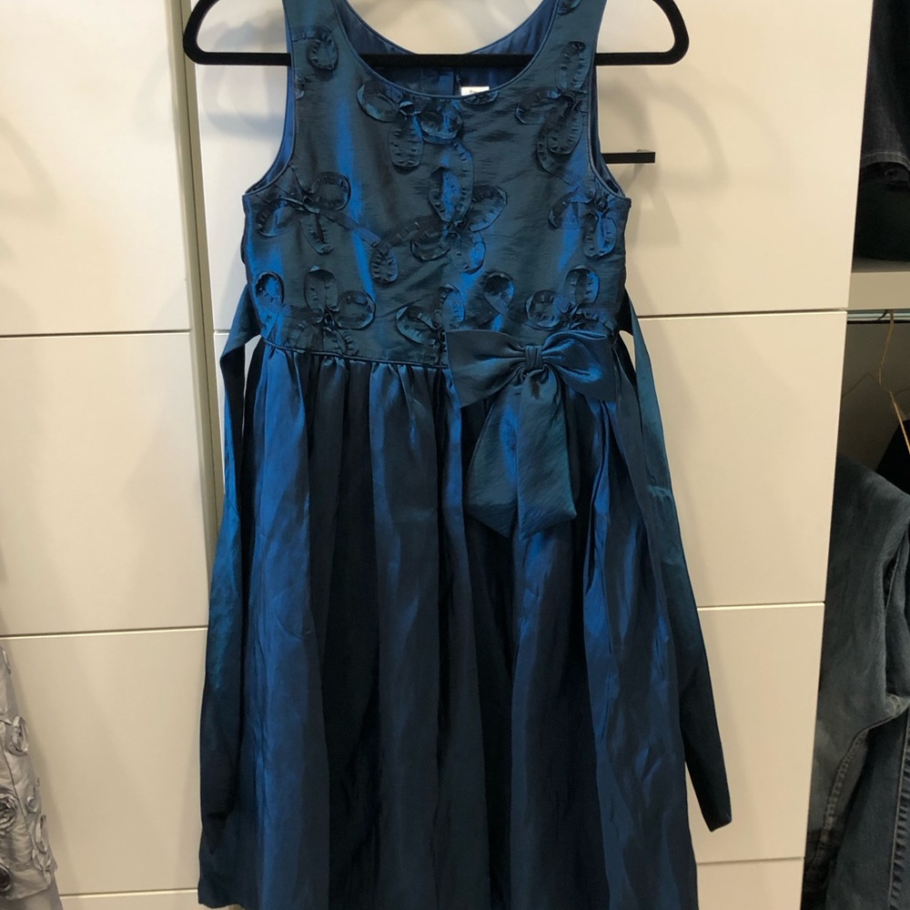 Sweet Heart Rose Party Special Occasion Dress
